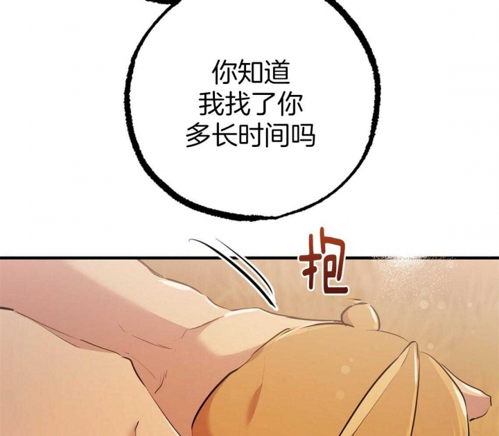 《 夏菲菲的兔子》漫画最新章节第65话免费下拉式在线观看章节第【95】张图片