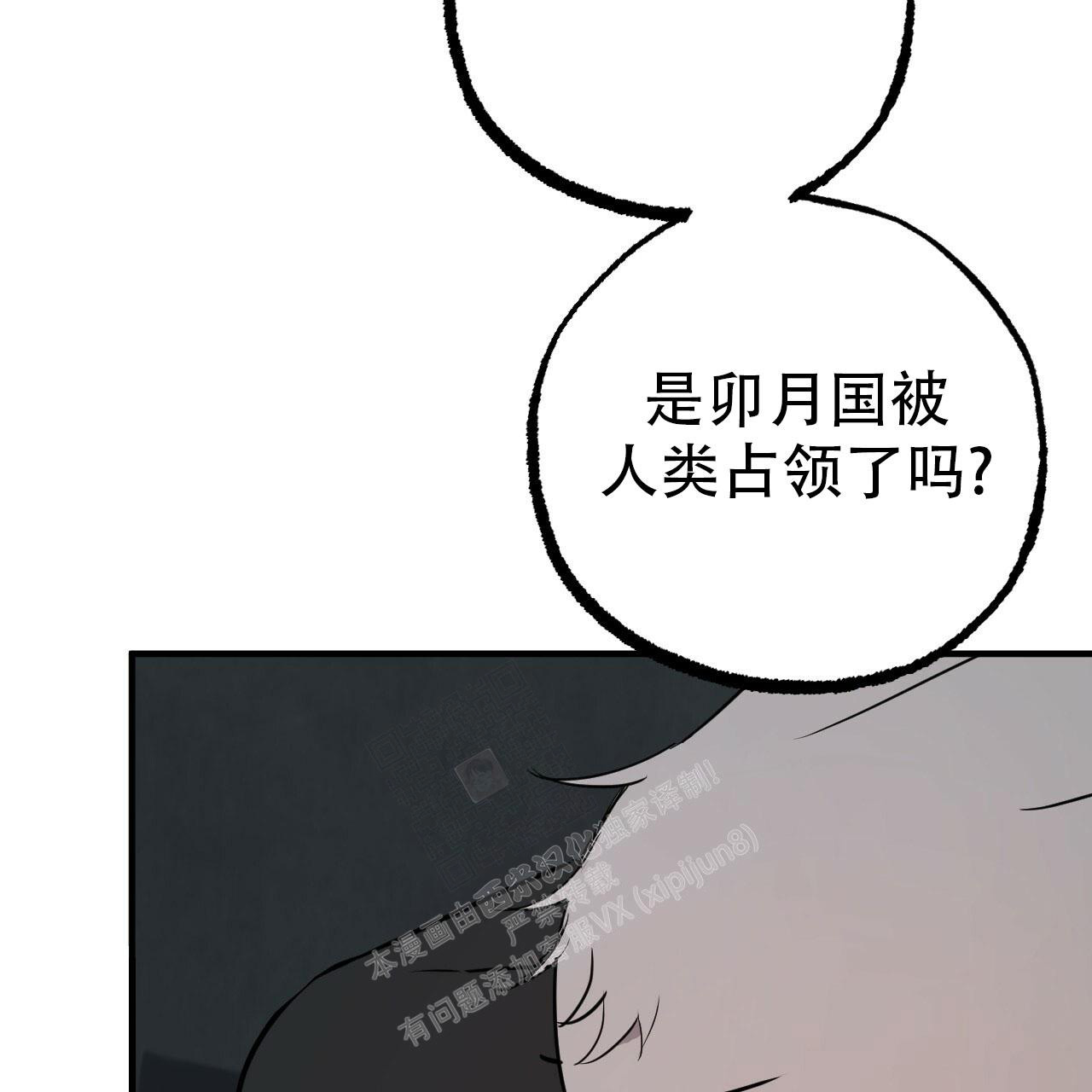 《 夏菲菲的兔子》漫画最新章节第110话免费下拉式在线观看章节第【44】张图片