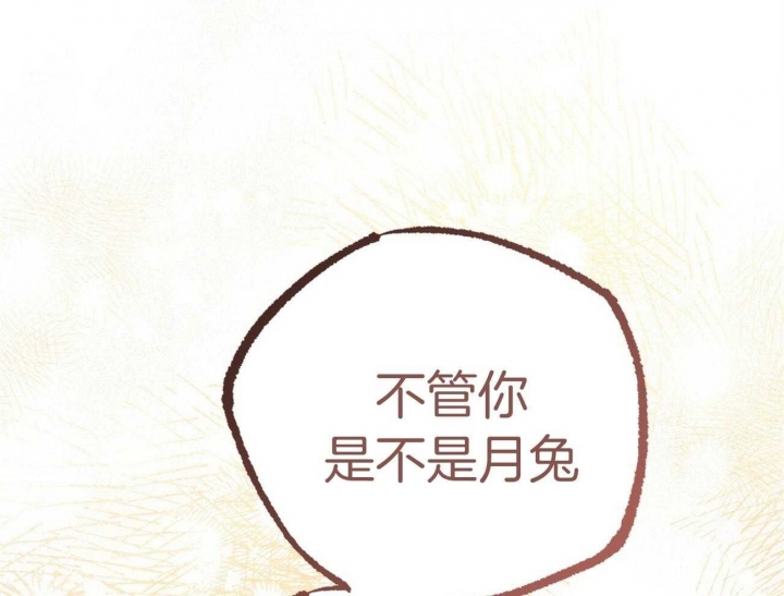 《 夏菲菲的兔子》漫画最新章节第71话免费下拉式在线观看章节第【58】张图片