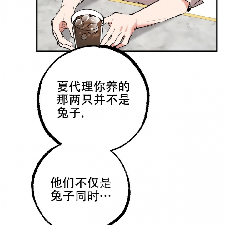 《 夏菲菲的兔子》漫画最新章节第86话免费下拉式在线观看章节第【19】张图片