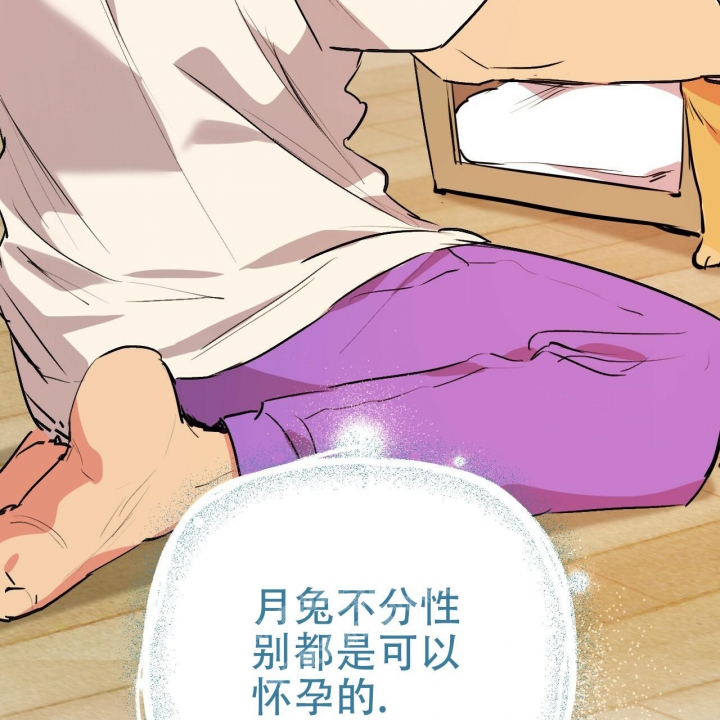 《 夏菲菲的兔子》漫画最新章节第80话免费下拉式在线观看章节第【24】张图片