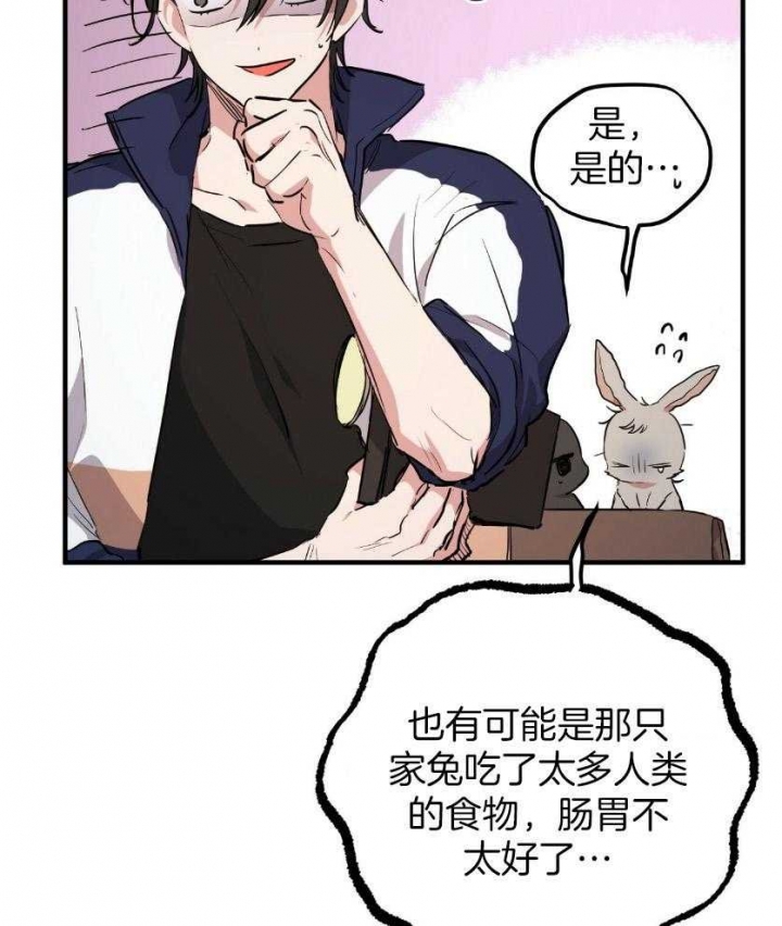 《 夏菲菲的兔子》漫画最新章节第56话免费下拉式在线观看章节第【25】张图片