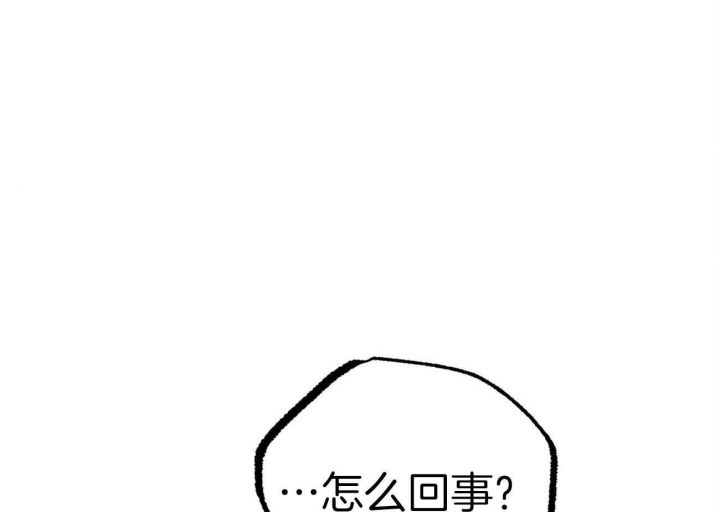 《 夏菲菲的兔子》漫画最新章节第70话免费下拉式在线观看章节第【1】张图片