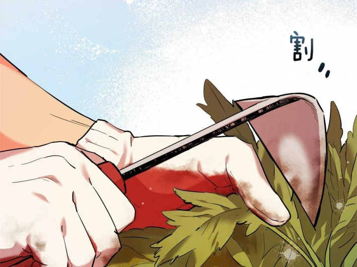 《 夏菲菲的兔子》漫画最新章节第8话免费下拉式在线观看章节第【30】张图片