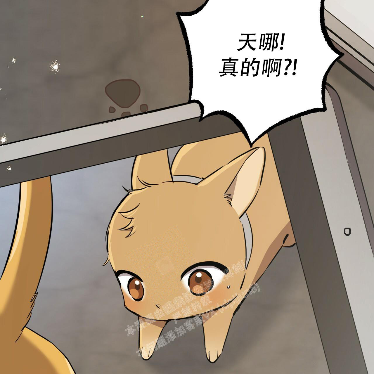 《 夏菲菲的兔子》漫画最新章节第114话免费下拉式在线观看章节第【42】张图片
