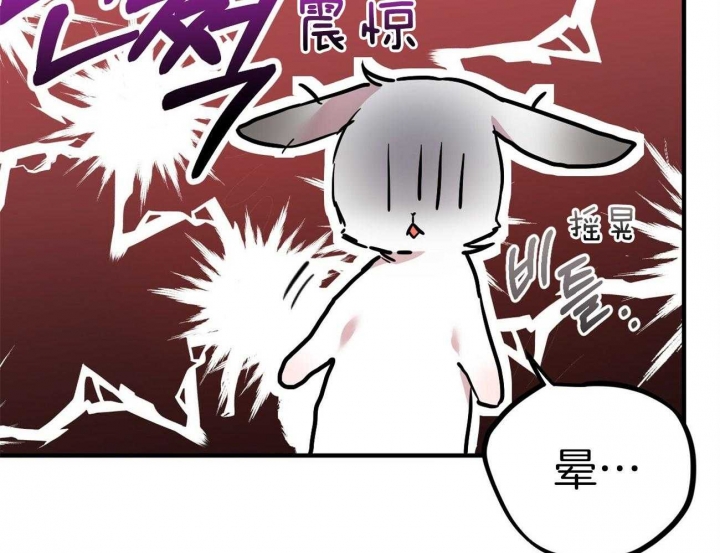 《 夏菲菲的兔子》漫画最新章节第8话免费下拉式在线观看章节第【84】张图片