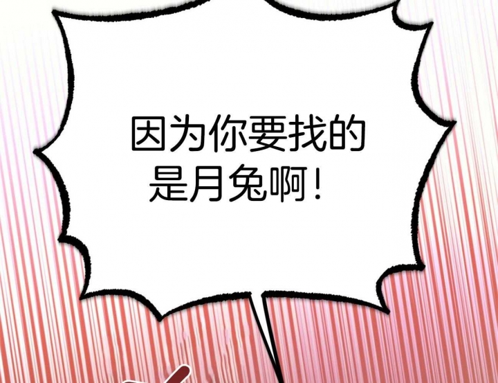 《 夏菲菲的兔子》漫画最新章节第71话免费下拉式在线观看章节第【33】张图片