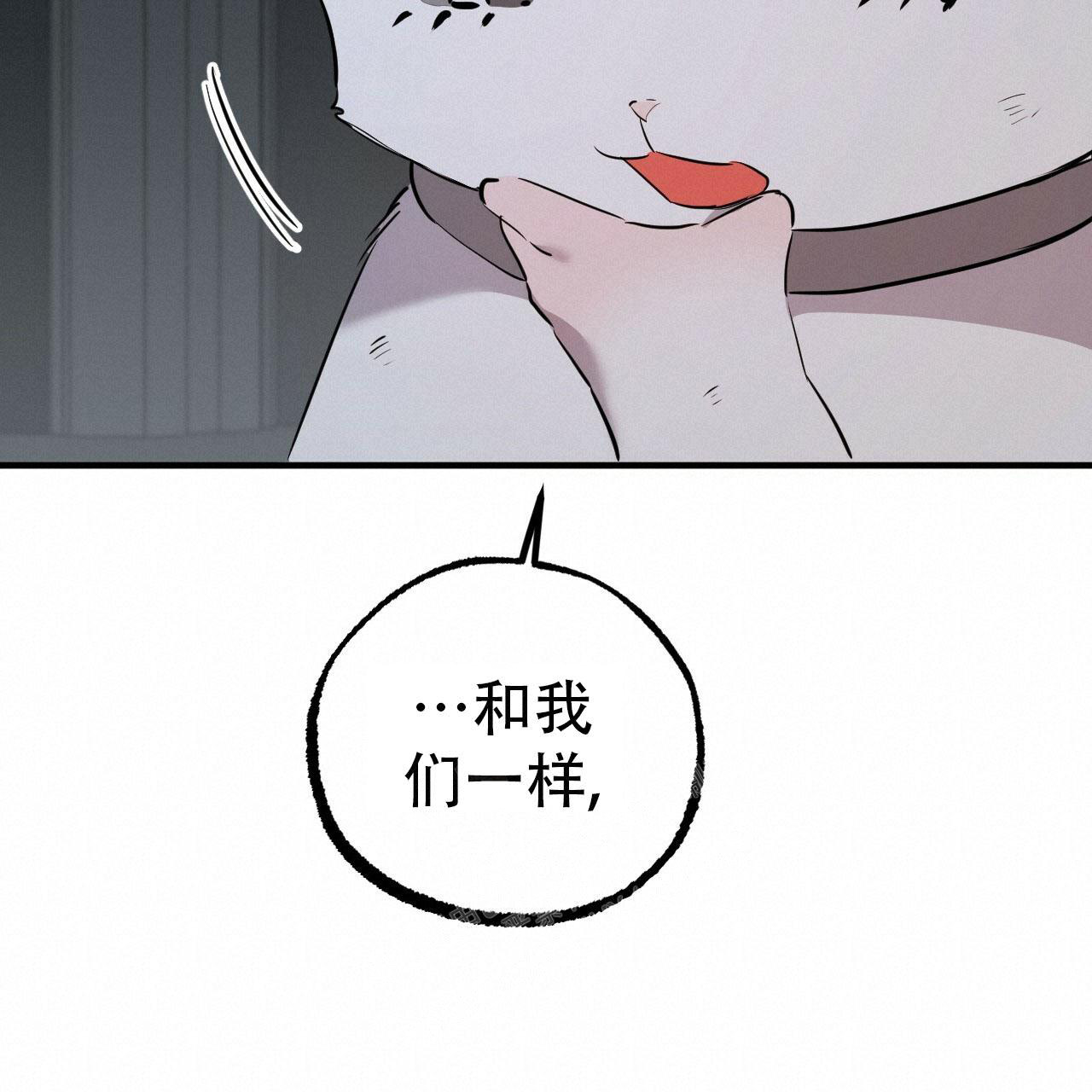 《 夏菲菲的兔子》漫画最新章节第111话免费下拉式在线观看章节第【84】张图片