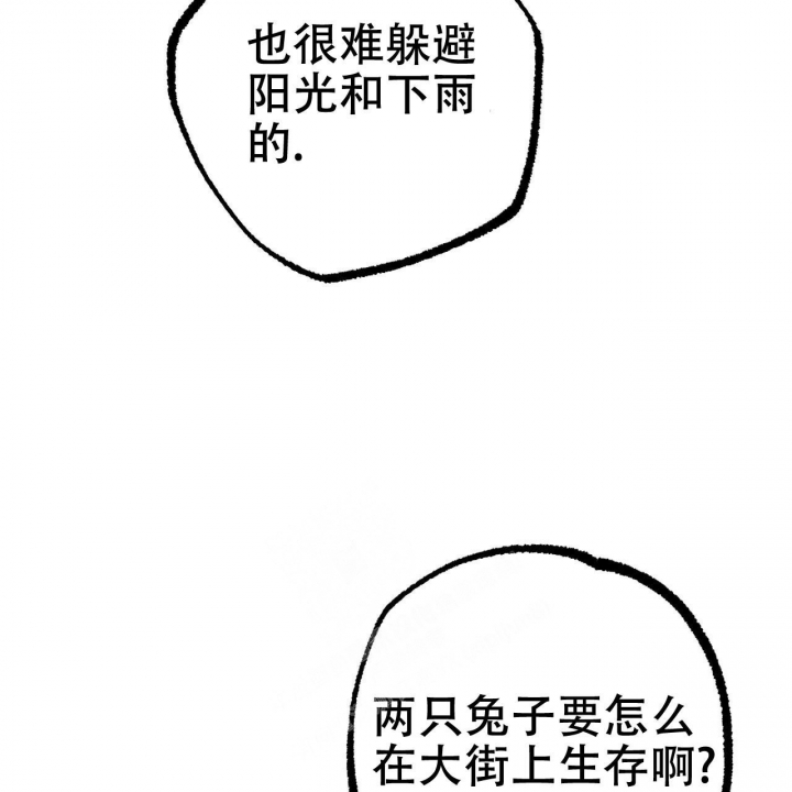 《 夏菲菲的兔子》漫画最新章节第89话免费下拉式在线观看章节第【6】张图片