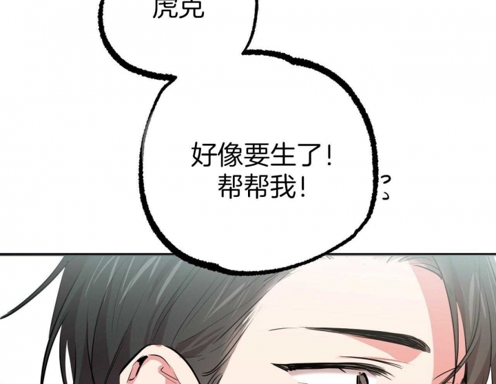 《 夏菲菲的兔子》漫画最新章节第83话免费下拉式在线观看章节第【40】张图片