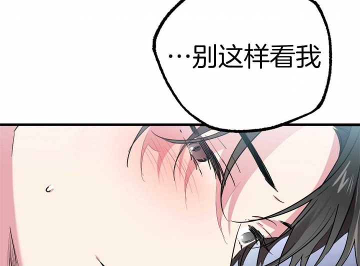 《 夏菲菲的兔子》漫画最新章节第22话免费下拉式在线观看章节第【7】张图片