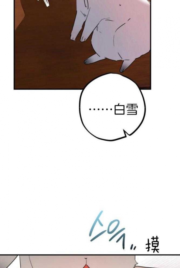 《 夏菲菲的兔子》漫画最新章节第45话免费下拉式在线观看章节第【9】张图片