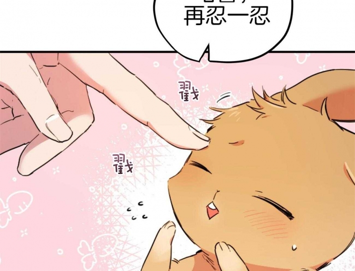 《 夏菲菲的兔子》漫画最新章节第4话免费下拉式在线观看章节第【20】张图片