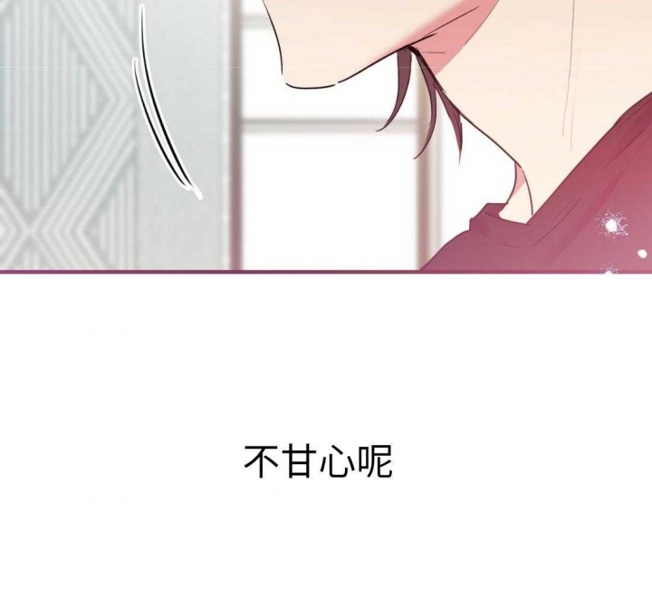 《 夏菲菲的兔子》漫画最新章节第36话免费下拉式在线观看章节第【47】张图片