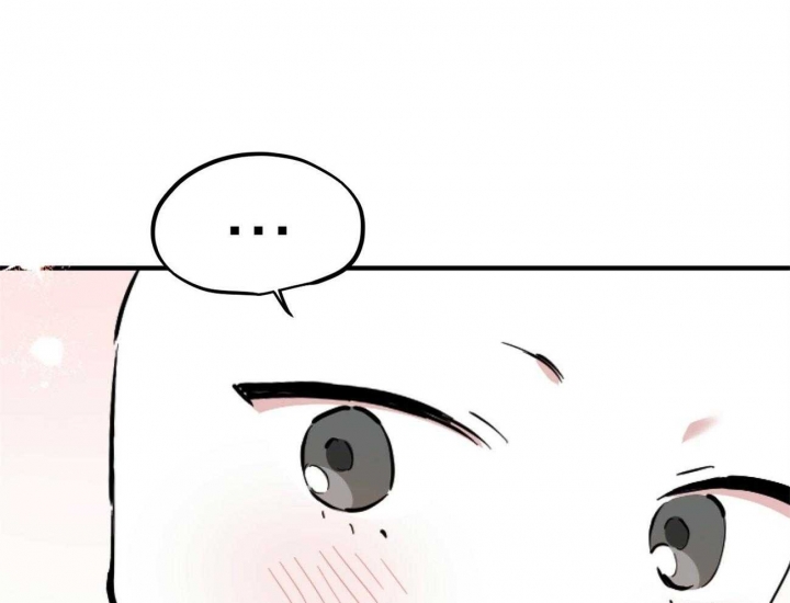 《 夏菲菲的兔子》漫画最新章节第6话免费下拉式在线观看章节第【36】张图片