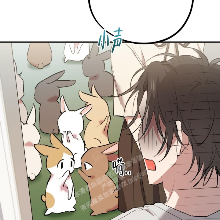 《 夏菲菲的兔子》漫画最新章节第97话免费下拉式在线观看章节第【7】张图片