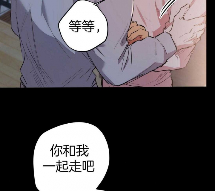 《 夏菲菲的兔子》漫画最新章节第54话免费下拉式在线观看章节第【55】张图片