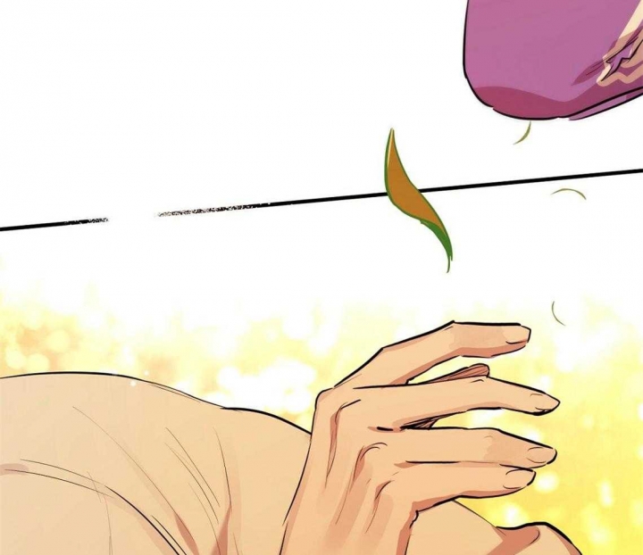 《 夏菲菲的兔子》漫画最新章节第66话免费下拉式在线观看章节第【18】张图片