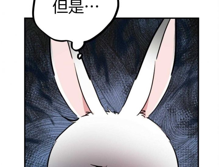 《 夏菲菲的兔子》漫画最新章节第6话免费下拉式在线观看章节第【51】张图片