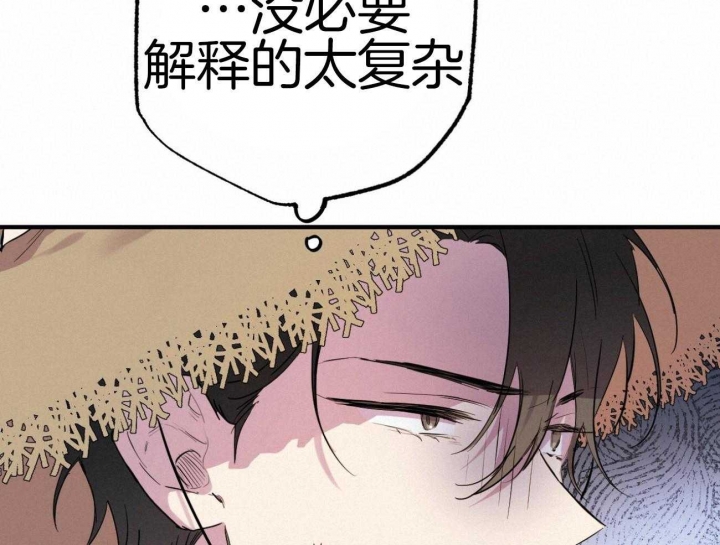 《 夏菲菲的兔子》漫画最新章节第28话免费下拉式在线观看章节第【12】张图片