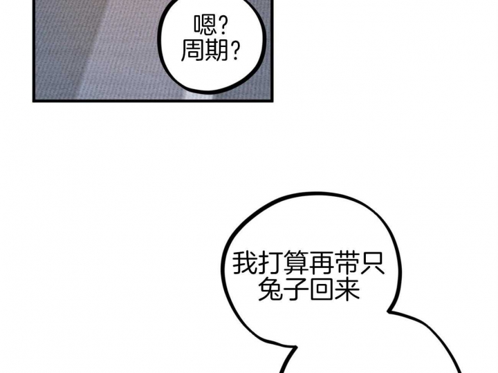 《 夏菲菲的兔子》漫画最新章节第1话免费下拉式在线观看章节第【62】张图片