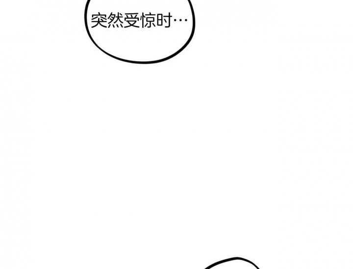 《 夏菲菲的兔子》漫画最新章节第18话免费下拉式在线观看章节第【56】张图片
