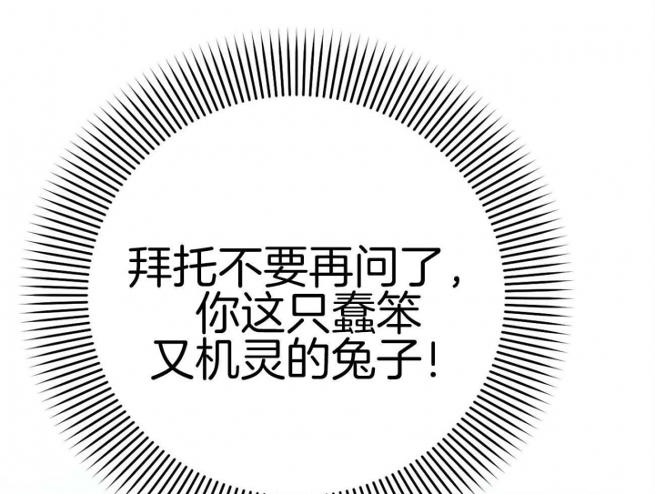 《 夏菲菲的兔子》漫画最新章节第32话免费下拉式在线观看章节第【65】张图片