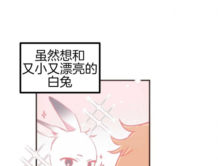 《 夏菲菲的兔子》漫画最新章节第29话免费下拉式在线观看章节第【3】张图片