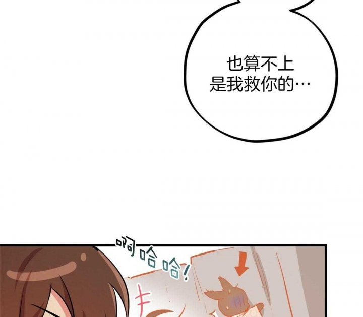 《 夏菲菲的兔子》漫画最新章节第64话免费下拉式在线观看章节第【61】张图片