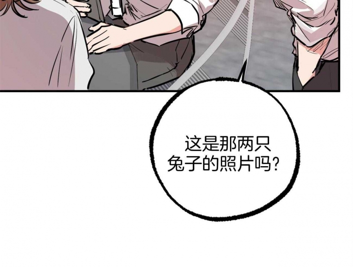 《 夏菲菲的兔子》漫画最新章节第74话免费下拉式在线观看章节第【63】张图片