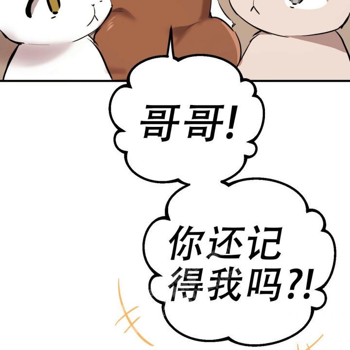 《 夏菲菲的兔子》漫画最新章节第96话免费下拉式在线观看章节第【71】张图片