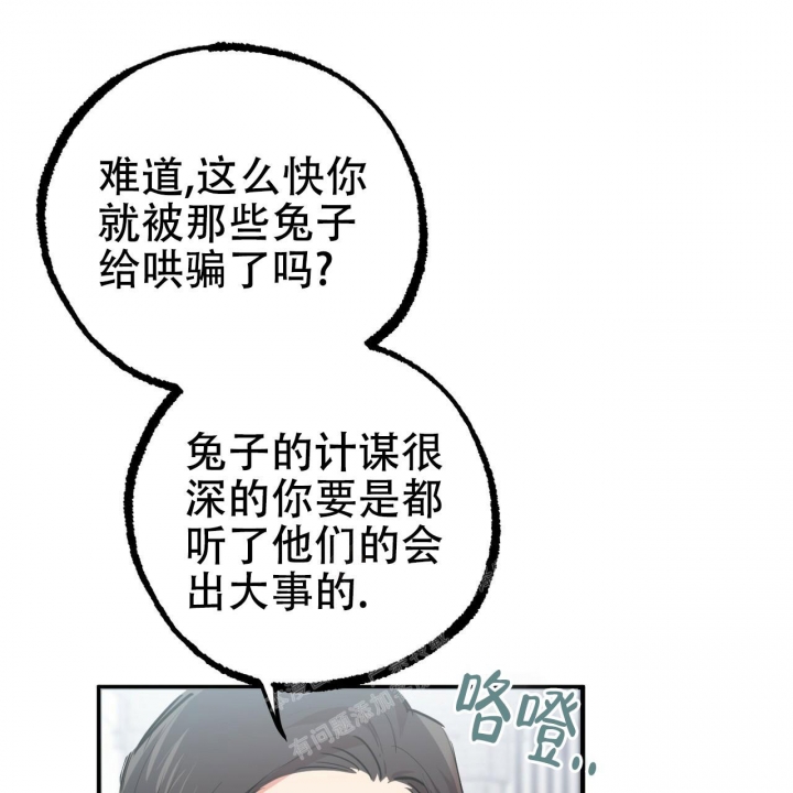 《 夏菲菲的兔子》漫画最新章节第91话免费下拉式在线观看章节第【55】张图片