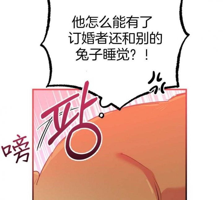 《 夏菲菲的兔子》漫画最新章节第50话免费下拉式在线观看章节第【50】张图片