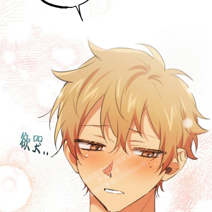 《 夏菲菲的兔子》漫画最新章节第97话免费下拉式在线观看章节第【34】张图片