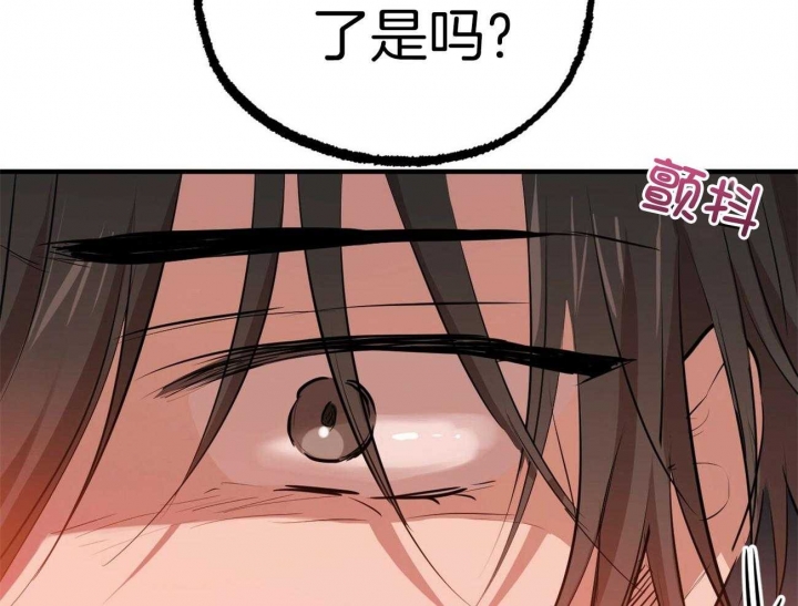 《 夏菲菲的兔子》漫画最新章节第70话免费下拉式在线观看章节第【51】张图片