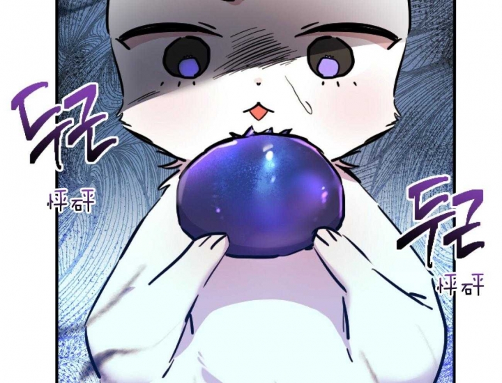 《 夏菲菲的兔子》漫画最新章节第6话免费下拉式在线观看章节第【52】张图片