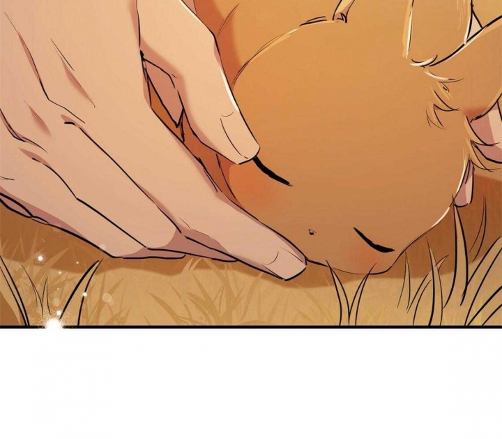 《 夏菲菲的兔子》漫画最新章节第65话免费下拉式在线观看章节第【96】张图片