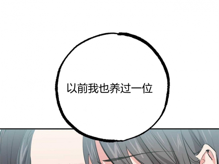 《 夏菲菲的兔子》漫画最新章节第74话免费下拉式在线观看章节第【78】张图片