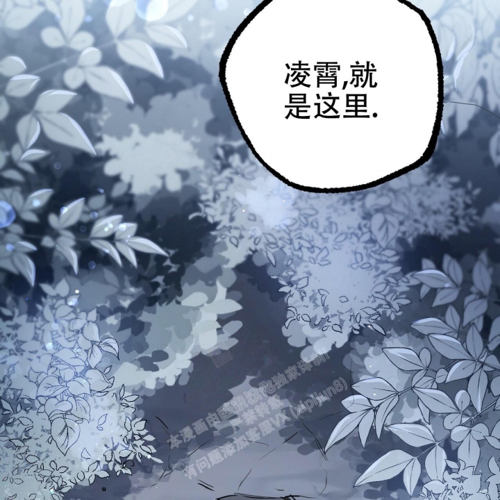 《 夏菲菲的兔子》漫画最新章节第92话免费下拉式在线观看章节第【35】张图片