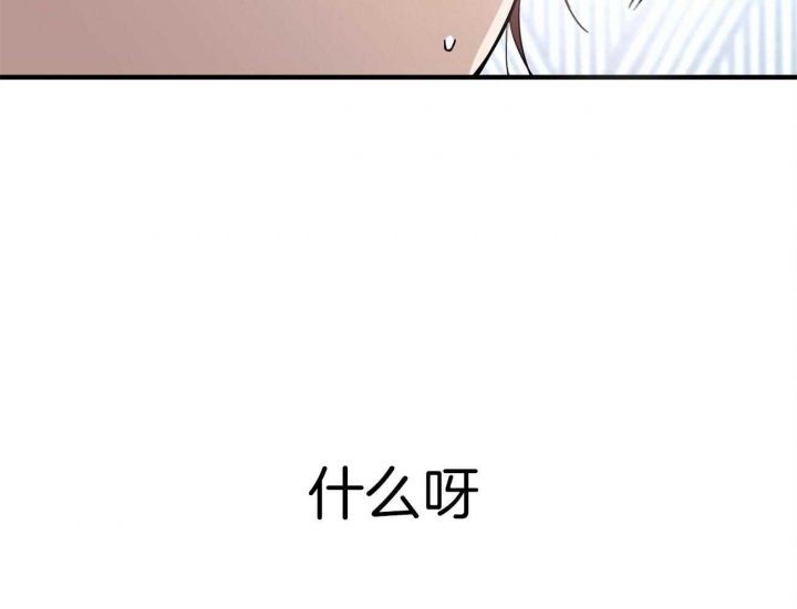 《 夏菲菲的兔子》漫画最新章节第21话免费下拉式在线观看章节第【20】张图片