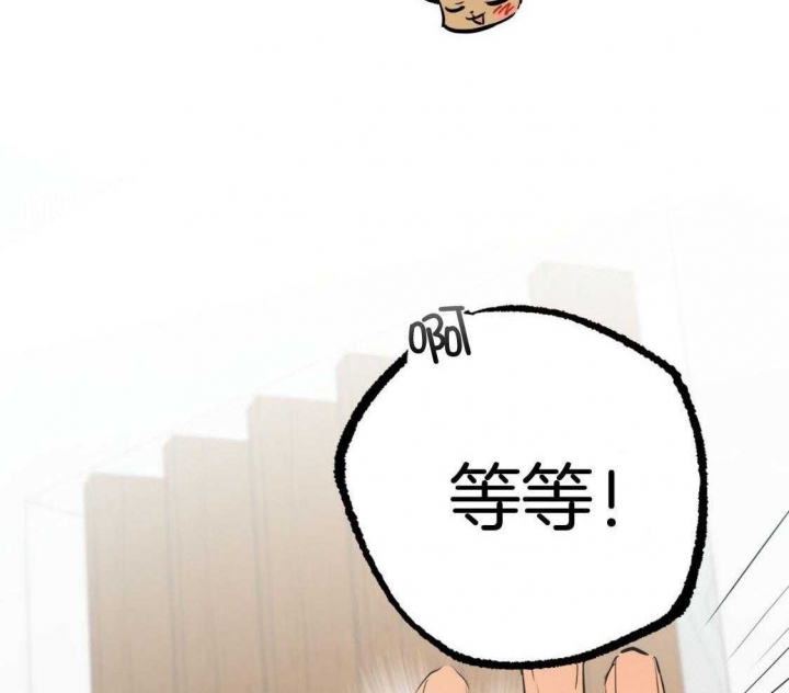 《 夏菲菲的兔子》漫画最新章节第51话免费下拉式在线观看章节第【55】张图片