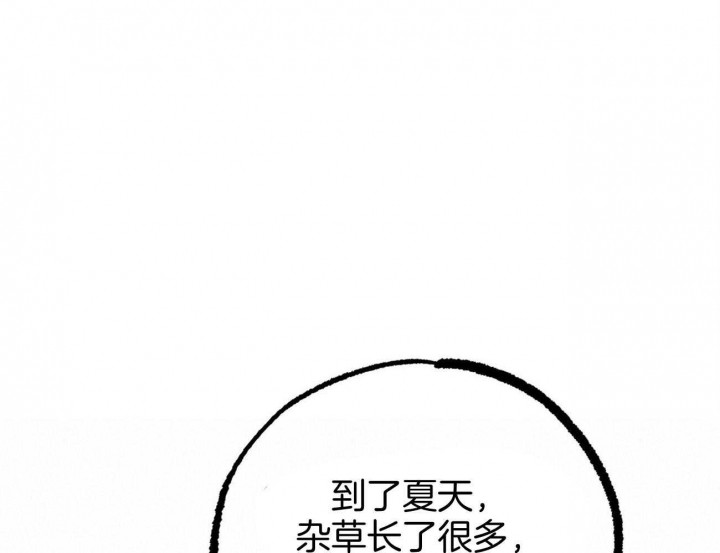 《 夏菲菲的兔子》漫画最新章节第74话免费下拉式在线观看章节第【47】张图片