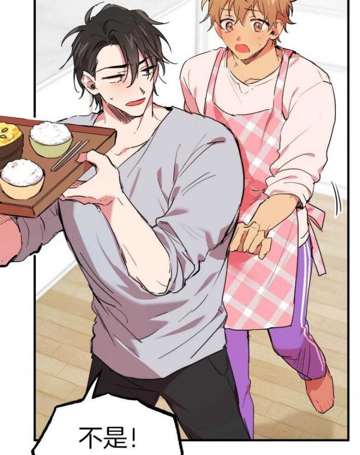 《 夏菲菲的兔子》漫画最新章节第43话免费下拉式在线观看章节第【22】张图片