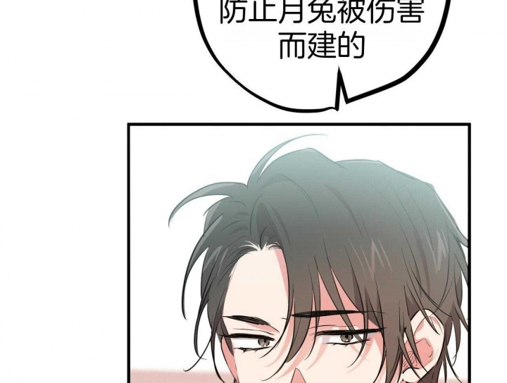 《 夏菲菲的兔子》漫画最新章节第59话免费下拉式在线观看章节第【54】张图片