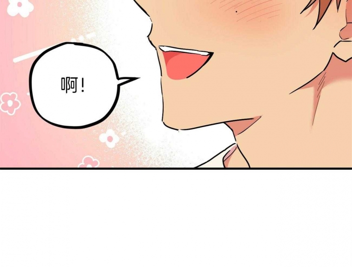 《 夏菲菲的兔子》漫画最新章节第11话免费下拉式在线观看章节第【33】张图片