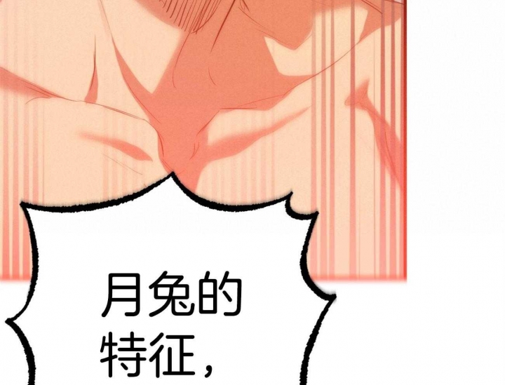 《 夏菲菲的兔子》漫画最新章节第71话免费下拉式在线观看章节第【16】张图片