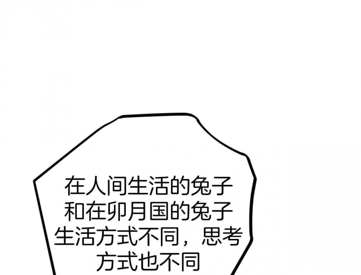 《 夏菲菲的兔子》漫画最新章节第61话免费下拉式在线观看章节第【32】张图片