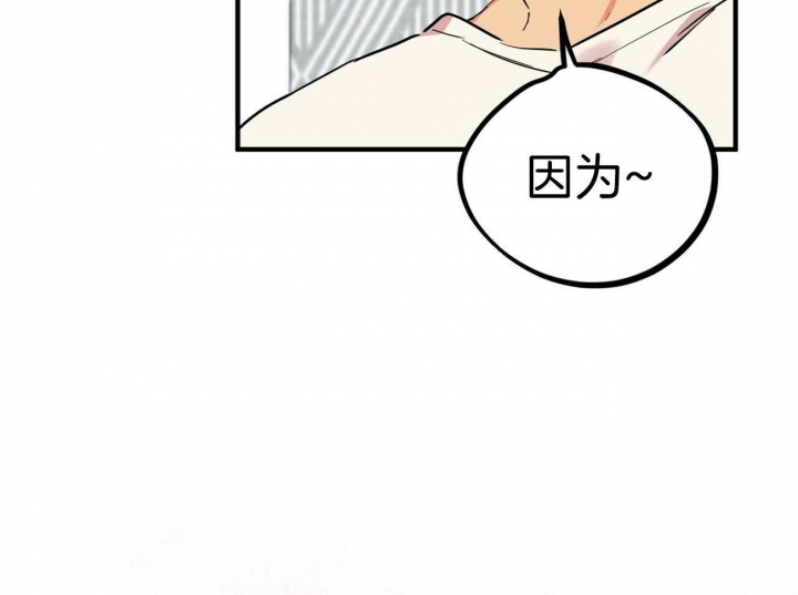 《 夏菲菲的兔子》漫画最新章节第14话免费下拉式在线观看章节第【45】张图片