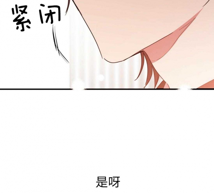 《 夏菲菲的兔子》漫画最新章节第36话免费下拉式在线观看章节第【28】张图片