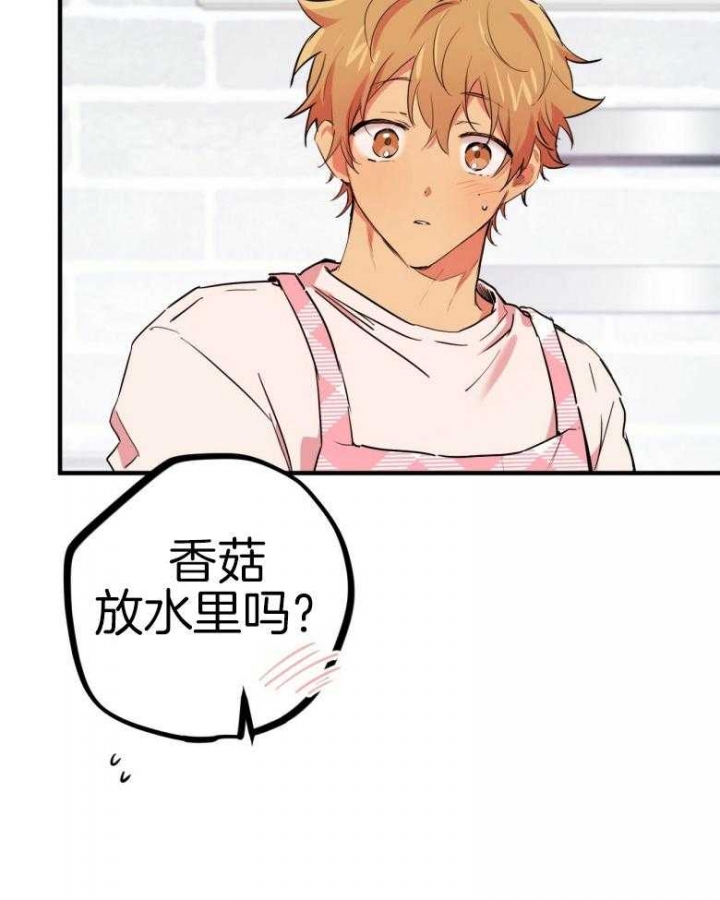 《 夏菲菲的兔子》漫画最新章节第43话免费下拉式在线观看章节第【19】张图片